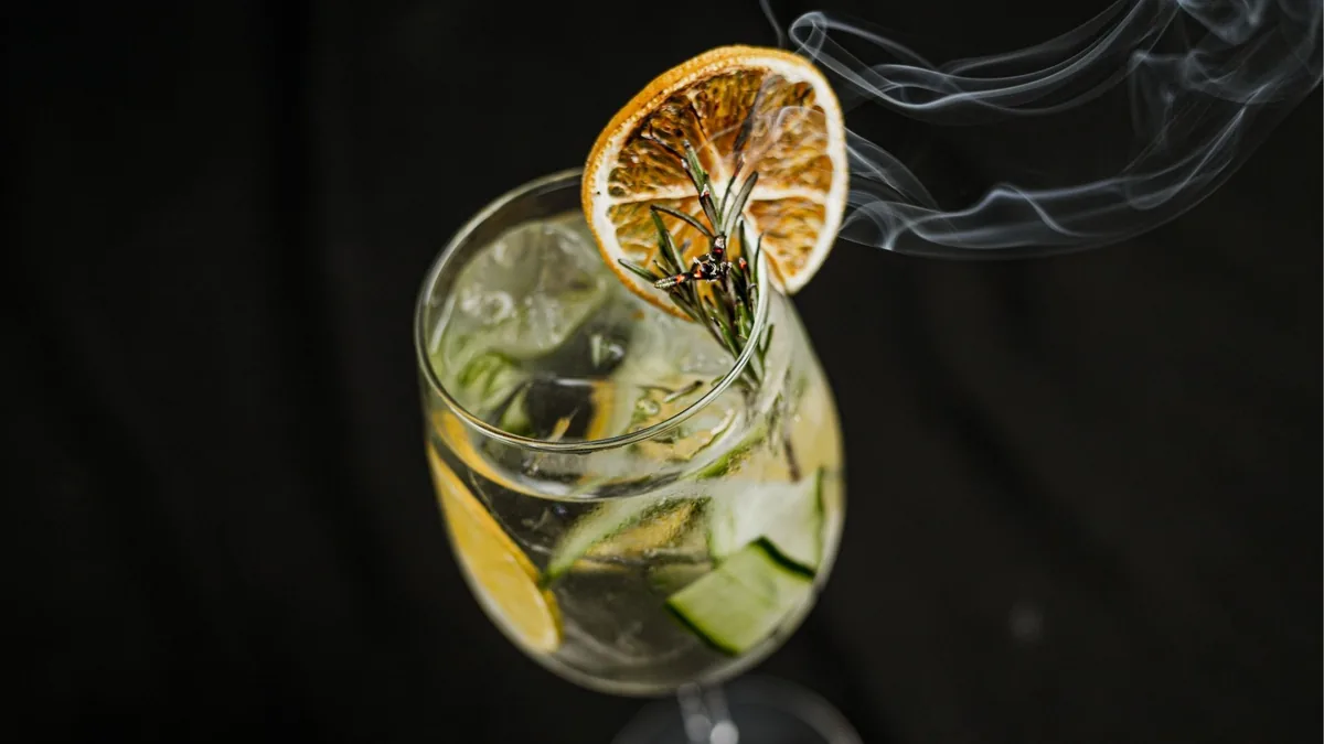 Gin Botanical CHIC & TONIC — coctelería premium para eventos en Guanajuato